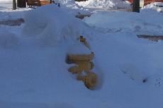 Winter takes a toll on students, sidewalks