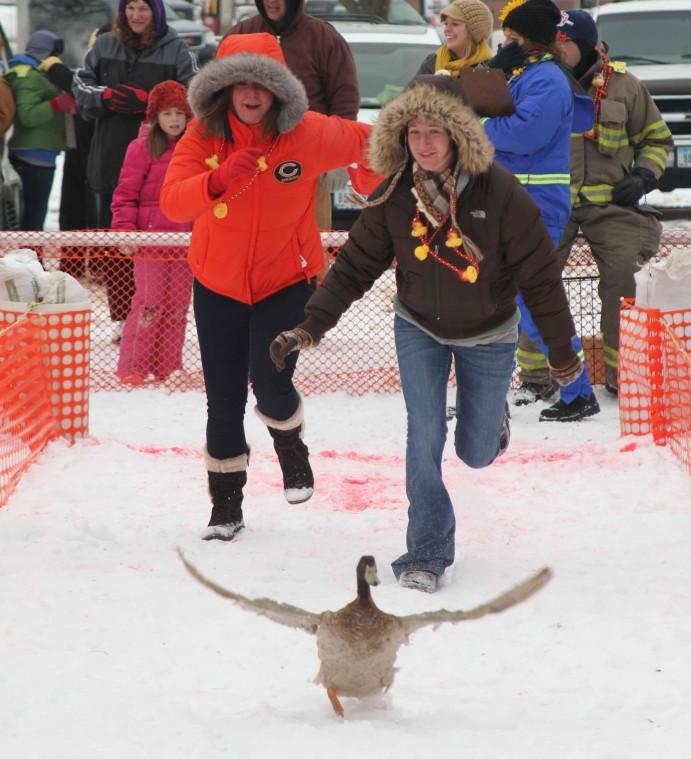 No ducking around with duck races