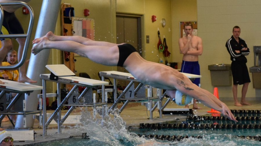 Seniors dive into record books as they cap swimming career