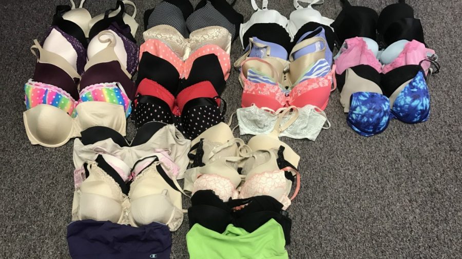 Religious Life Community collecting bras for financial freedom