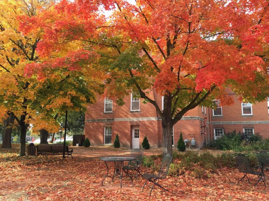 Fall+is+in+full+swing+on+campus.