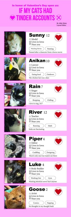 Listicle: If my cats had tinder accounts