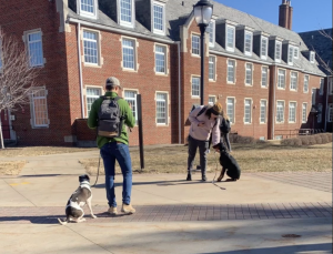 Simpson College has restructured the pet policy for faculty on campus.