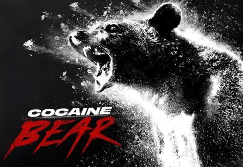 Cocaine Bear had the high of a lifetime, rampaging and killing people, despite it being loosely based on a true story.