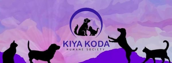 Kiya Koda is a centerpiece of many Simpson students experience.